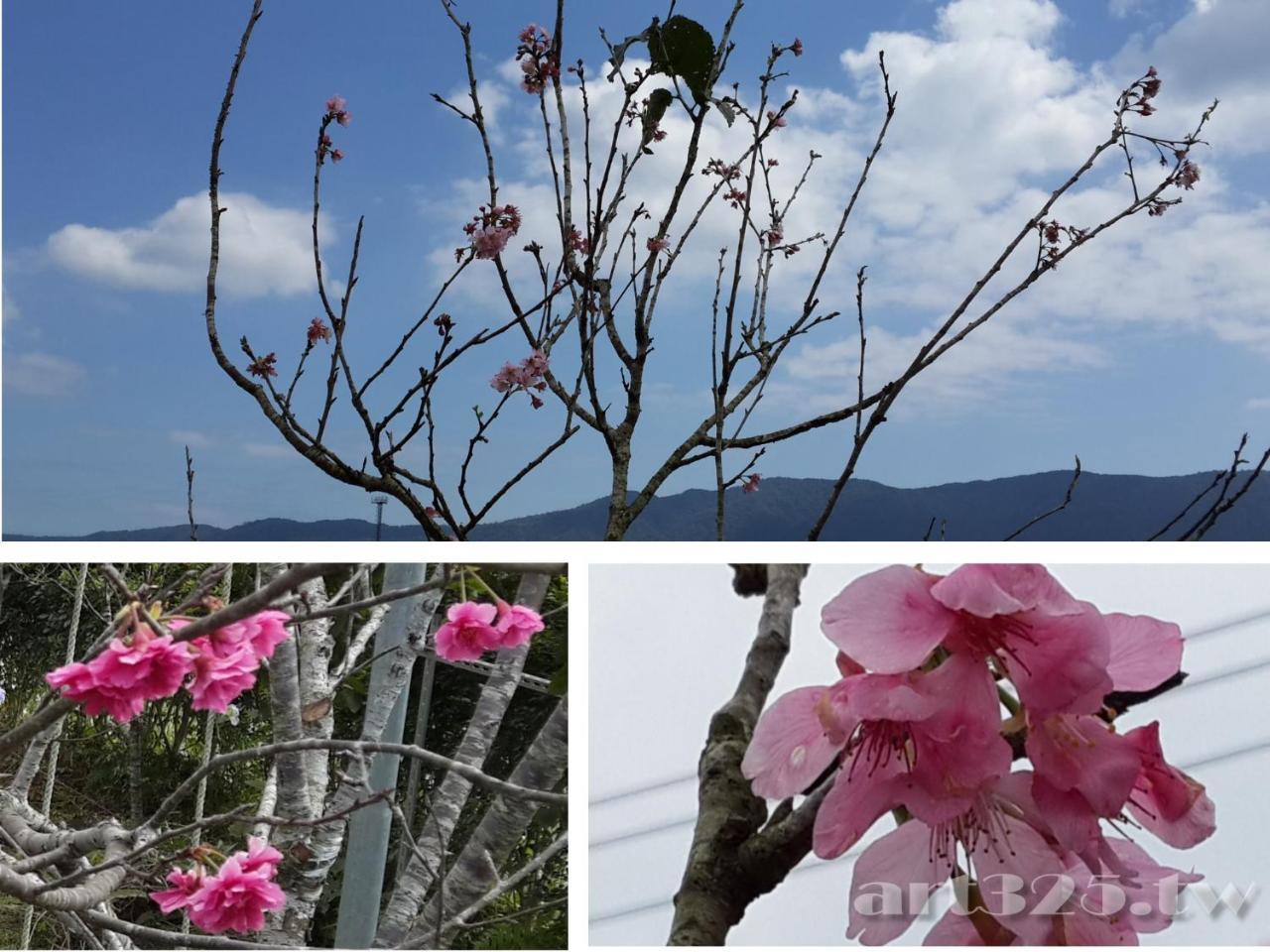 Yi Tian Homestay Fenglin エクステリア 写真