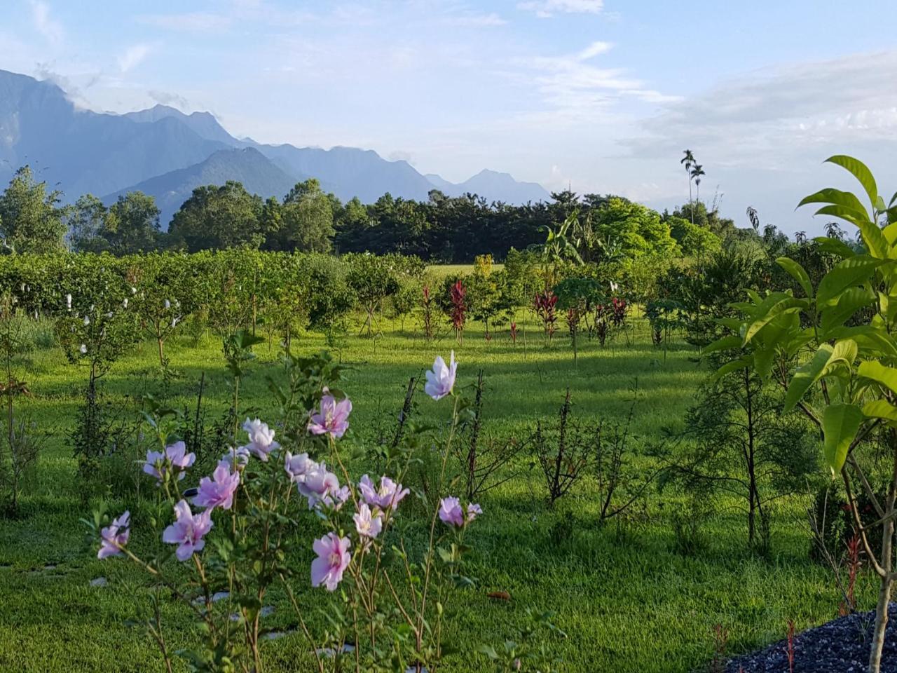 Yi Tian Homestay Fenglin エクステリア 写真