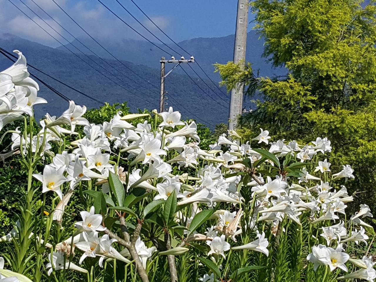 Yi Tian Homestay Fenglin エクステリア 写真