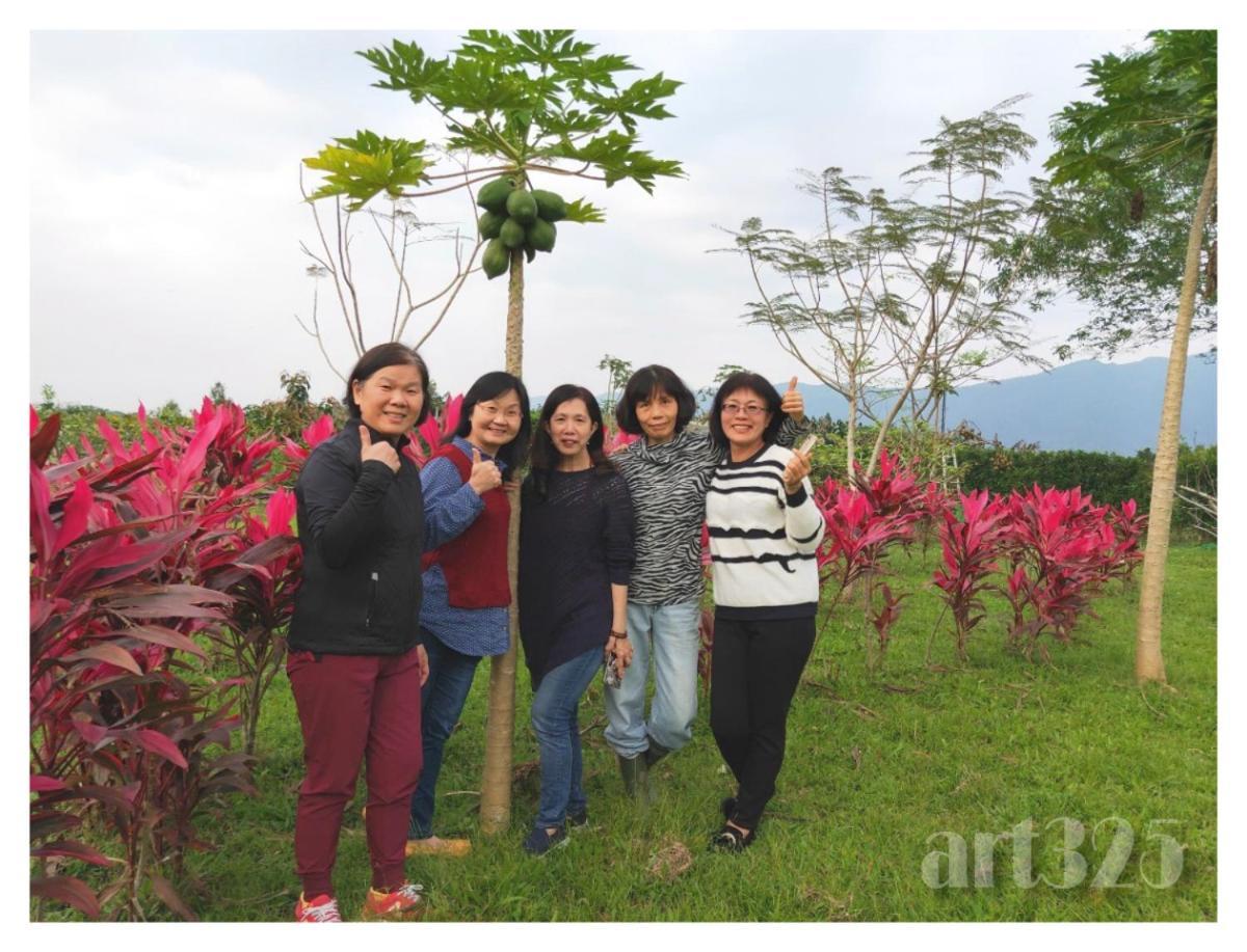 Yi Tian Homestay Fenglin エクステリア 写真