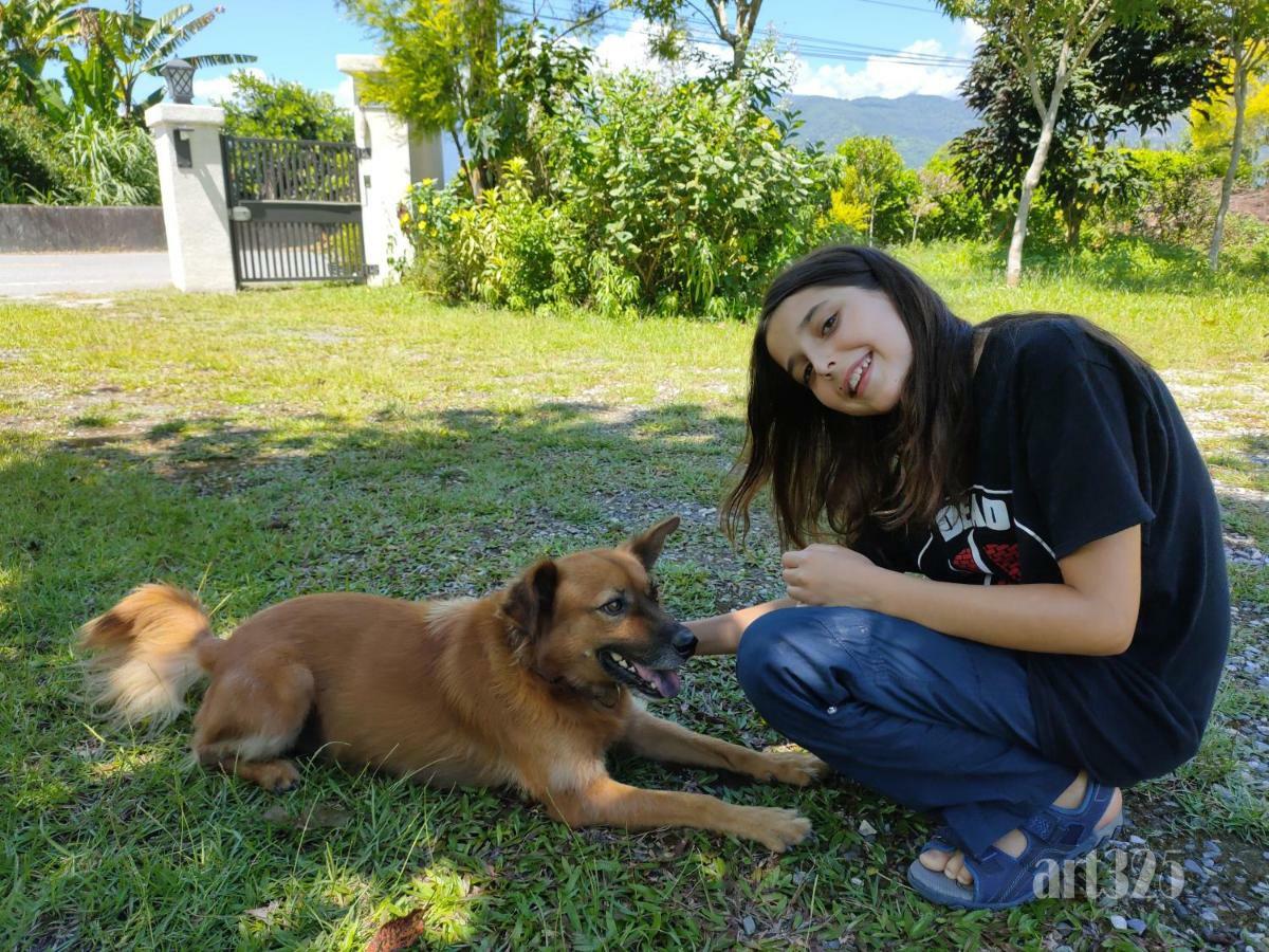 Yi Tian Homestay Fenglin エクステリア 写真